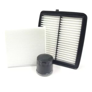 Kit Filtros Polen